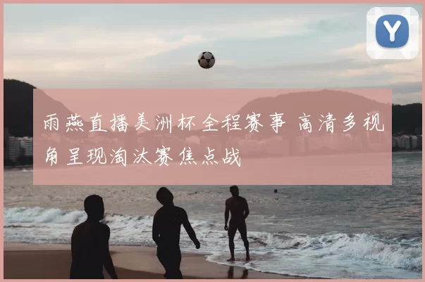 雨燕直播美洲杯全程赛事 高清多视角呈现淘汰赛焦点战