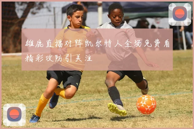 雄鹿直播对阵凯尔特人全场免费看精彩攻防引关注