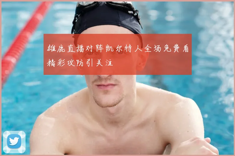 雄鹿直播对阵凯尔特人全场免费看精彩攻防引关注